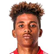 Gedson Fernandes
