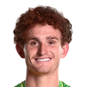 Josh Sargent