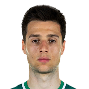 Ilia Gruev