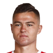 David Skubl