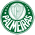 Palmeiras Team Logo
